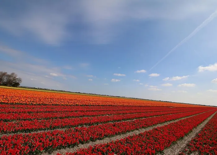 Ooghduyne 33 Сasa de vacaciones