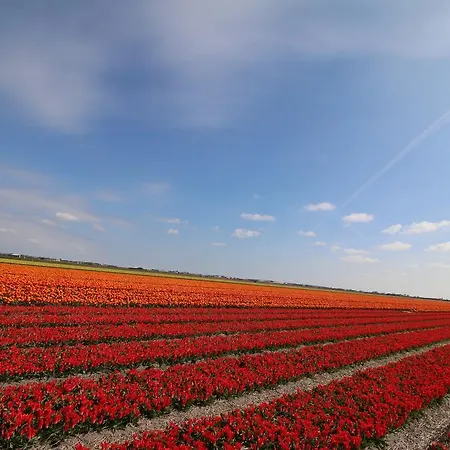 Ooghduyne 33 Casa de Férias